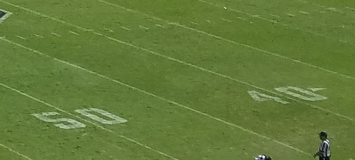 Spin Toward Something New