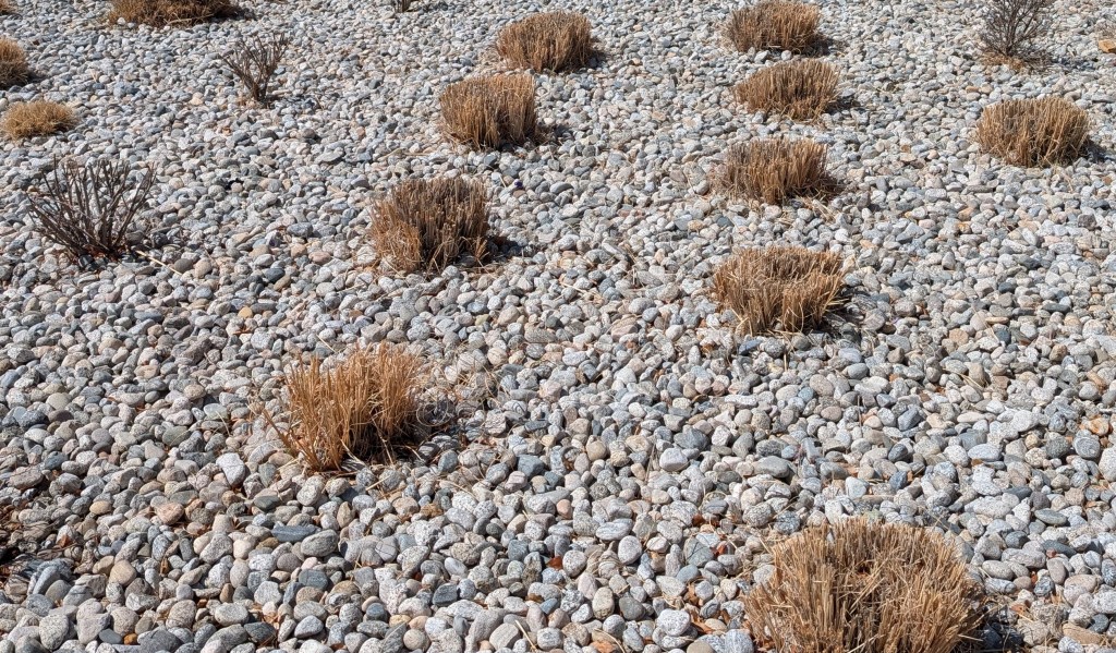 Holy Week – A Time to Put Jesus&nbsp;First