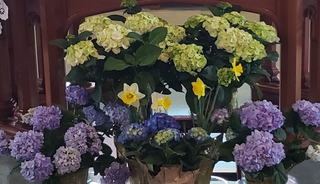 Bringing Jesus to&nbsp;Others