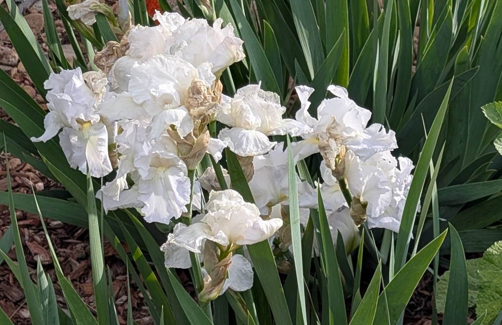 ‘God is in the&nbsp;Air’