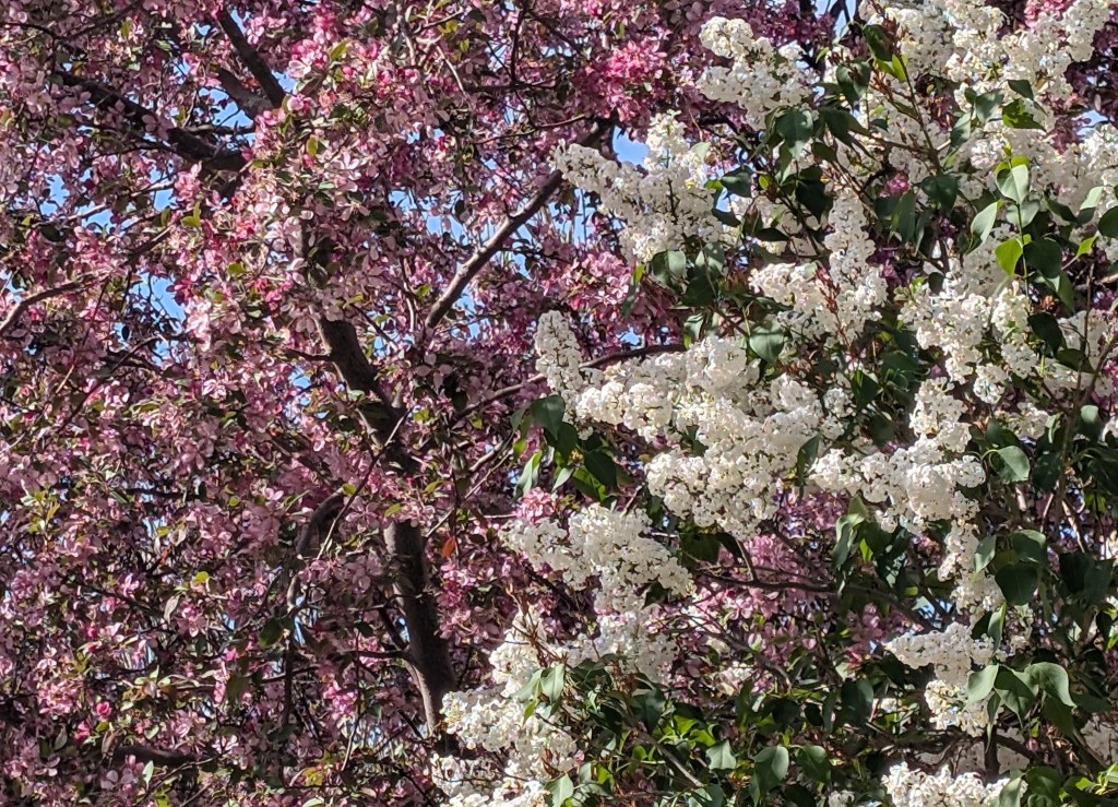 A Season for&nbsp;‘New’