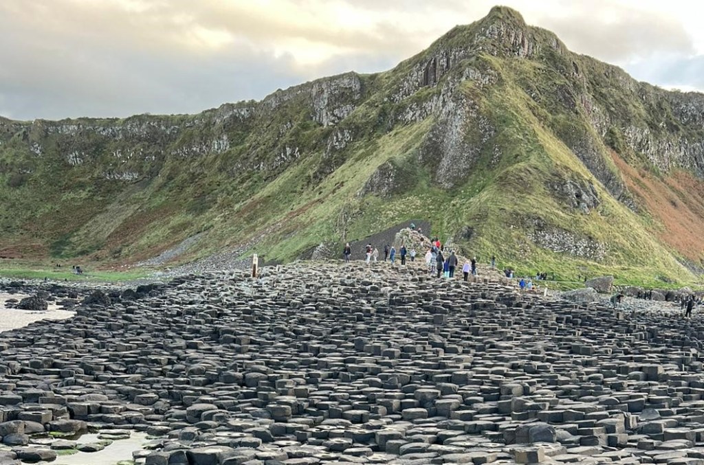 “Go in Search&nbsp;of…”