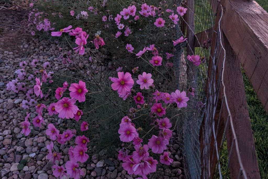 “Be Constant in&nbsp;Prayer”