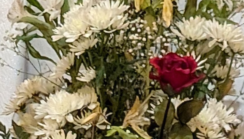 The Joy of&nbsp;Advent