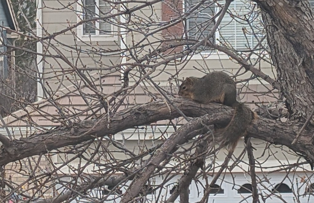 The Peace of&nbsp;Advent