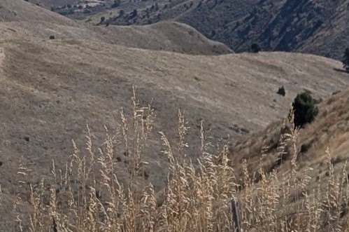 Our Lenten Journey Begins